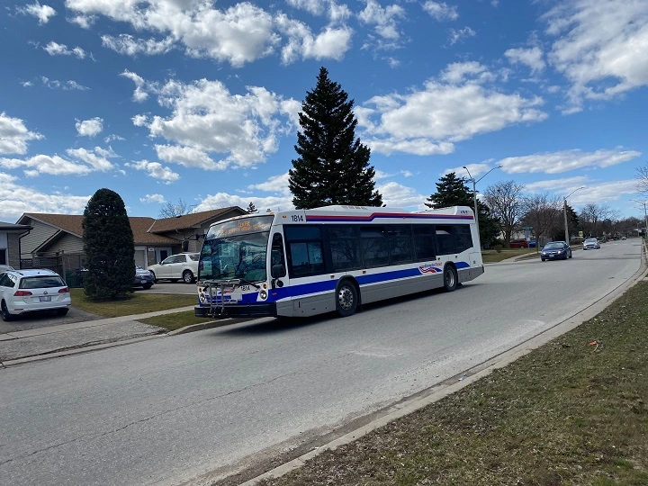 brampton-ont-seniors-to-ride-city-transit-for-free-beginning-feb-28