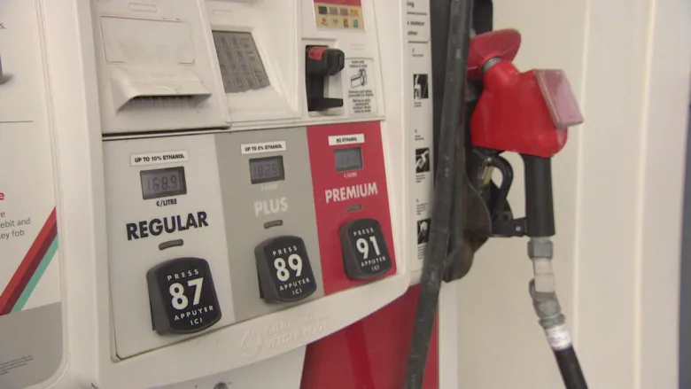 Sask. drivers look at reducing fuel consumption as gas prices spike ...